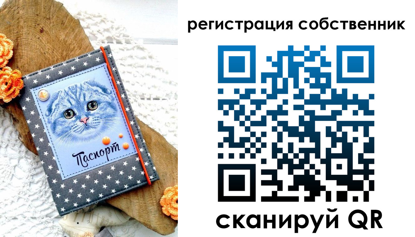 прописка для работы в Шебекино
